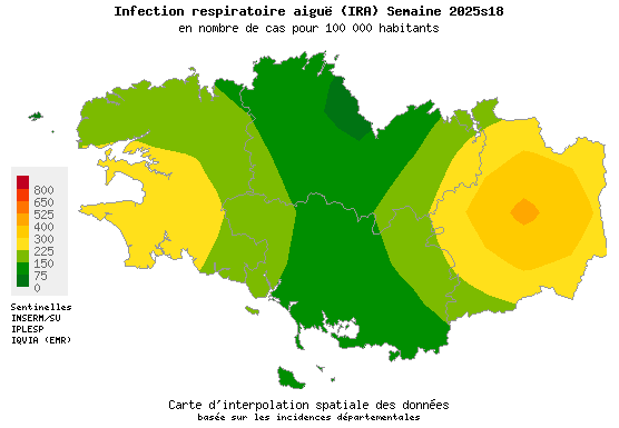 Infection respiratoire aiguë (IRA)
